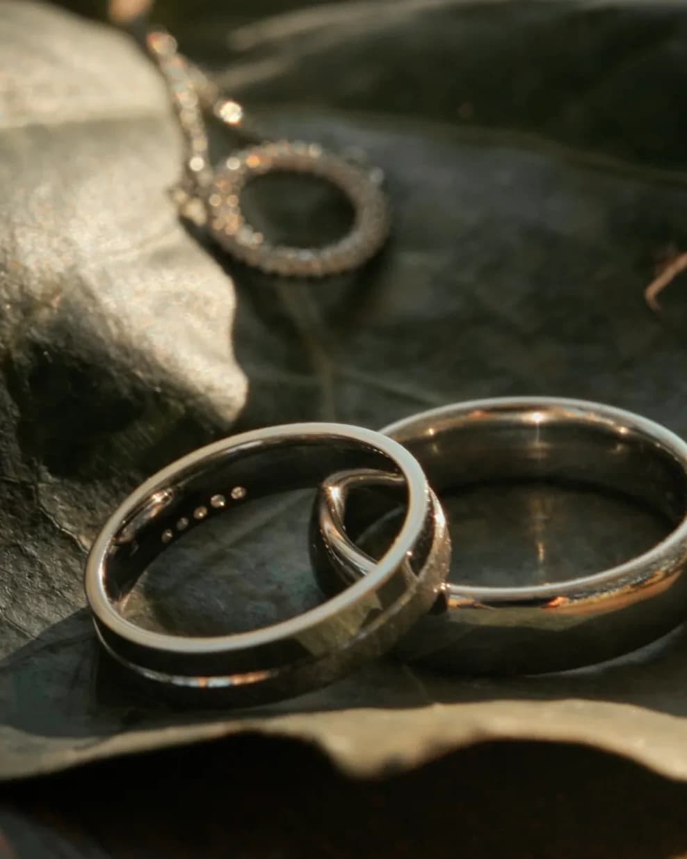 Close-up of Anó and Bálint’s wedding rings in warm sunlight